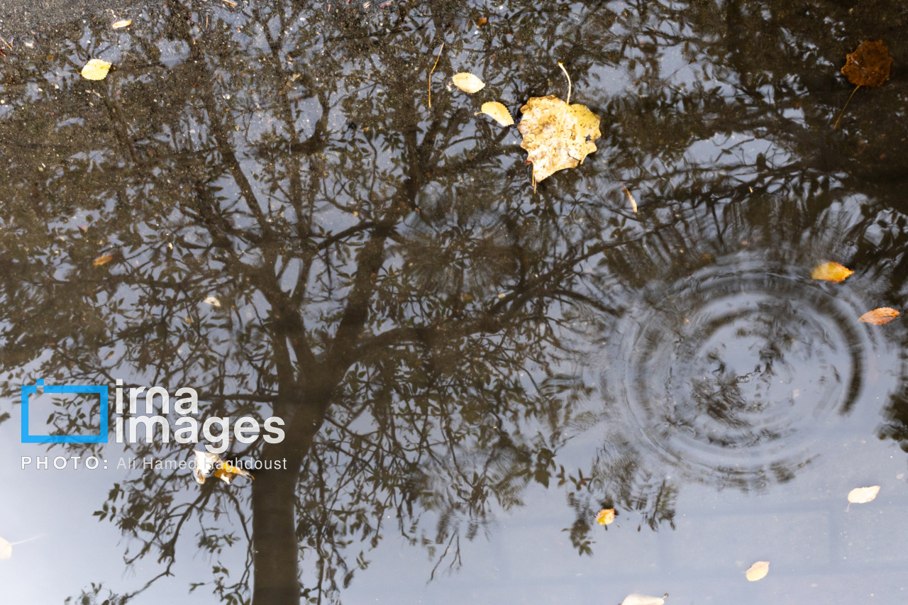 پیش‌بینی بارش باران در کرمانِ تشنه