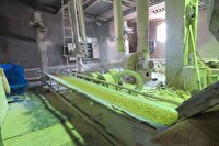 احیای فاز اول و افتتاح فاز دوم کارخانه خوراک دام در جیرفت