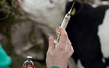 هشدار سازمان جهاد کشاورزی جنوب کرمان