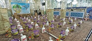 طرح قرار دوازدهم در سیرجان