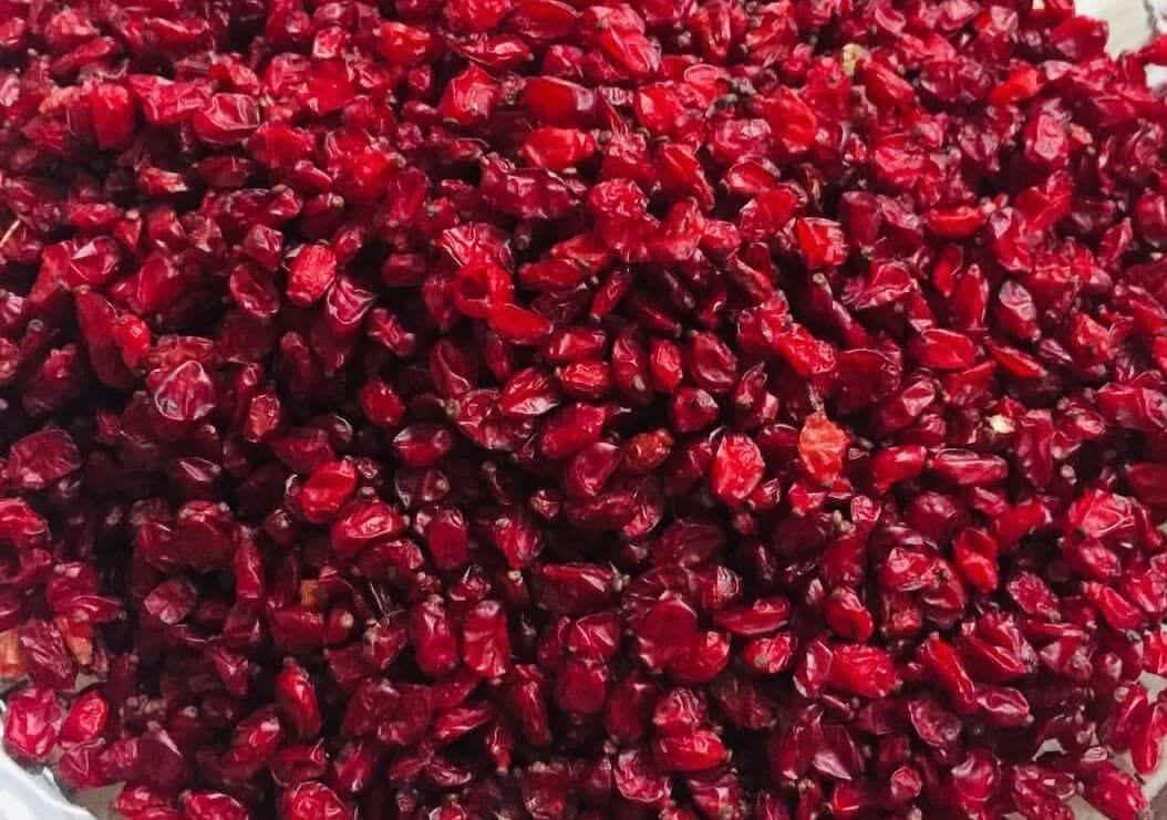 افزایش ۱۰ درصدی برداشت زرشک در استان کرمان