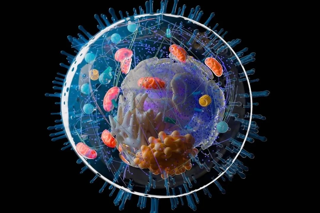 حیات پیچیده روی زمین ممکن است یک میلیارد سال قدیمی‌تر از تصور گذشته باشد