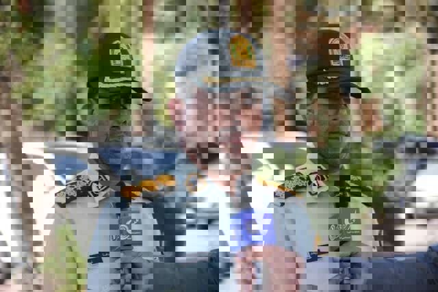 دستگیری عامل آتش‌سوزی عمدی باغات نراب جیرفت به دلیل اختلافات ملکی