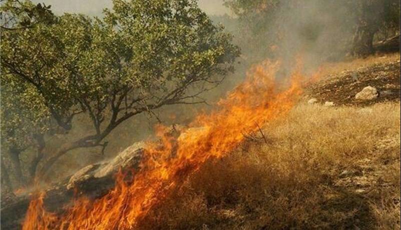 دستگیری عامل آتش‌سوزی عمدی در جیرفت