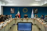 زینی‌وند: نقش احزاب در انتخابات و حکمرانی یک ضرورت است