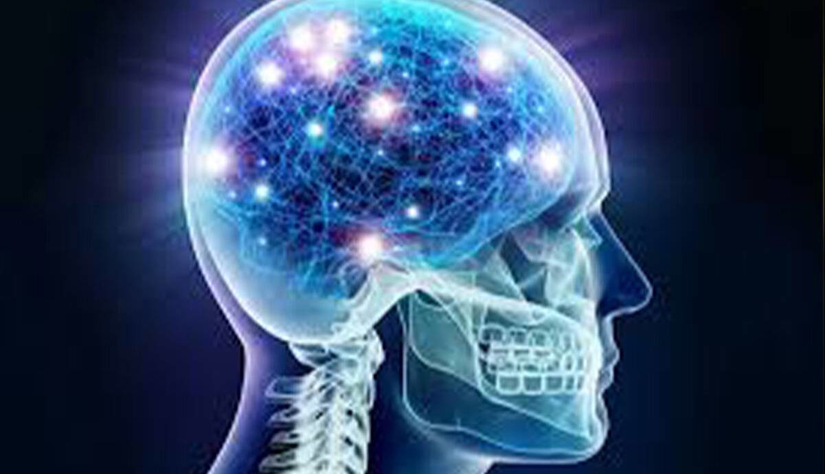 مصرف این غذاها به مغز آسیب می‌رساند