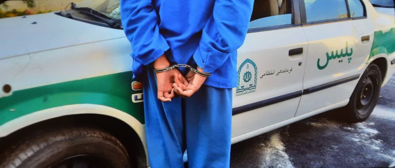 دستگیری ۲ نفرسارق و کشف ۷ فقره سرقت در " بردسیر