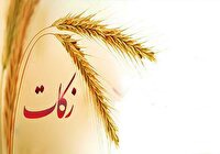 دومین همایش زکات شهرستان انار