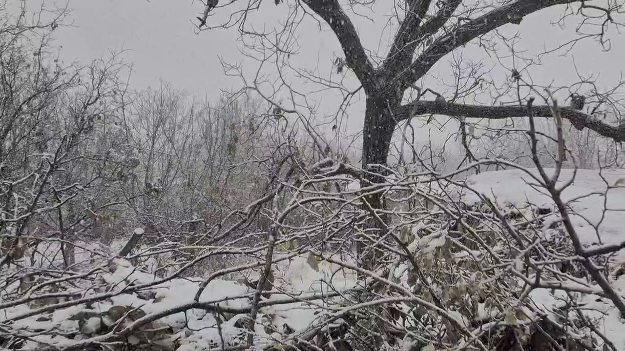 موج جدیدبارش باران و برف؛ امشب پنجشنبه