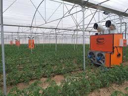 تخصیص اضطراری سوخت به گلخانه‌های واقع در مسیر لوله گاز