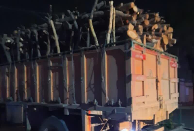 توقیف کامیون حامل ۱۰ تن چوب قاچاق در کرمان