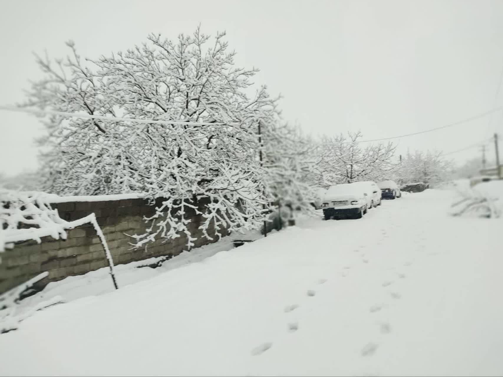 ۲۸۰ کیلومتر برف روبی در محور‌های ساردوییه جیرفت از شب گذشته تا کنون