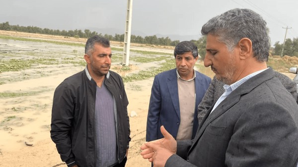 خسارت سیلاب به بخش کشاورزی جنوب کرمان