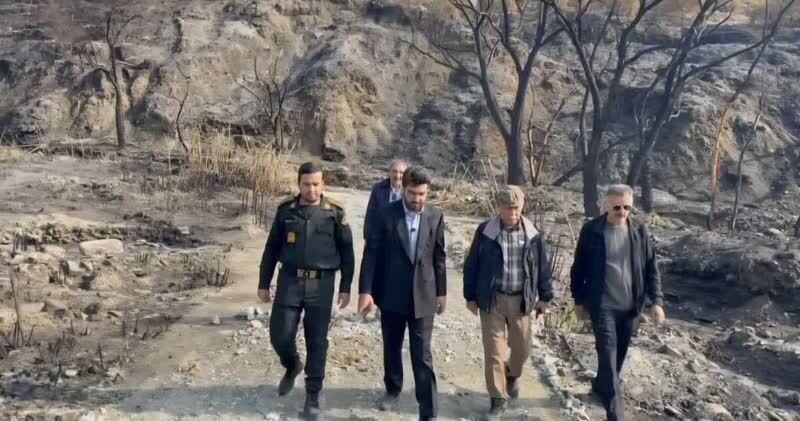 متهم آتش‌سوزی عمدی در نراب شناسایی و دستگیر شد