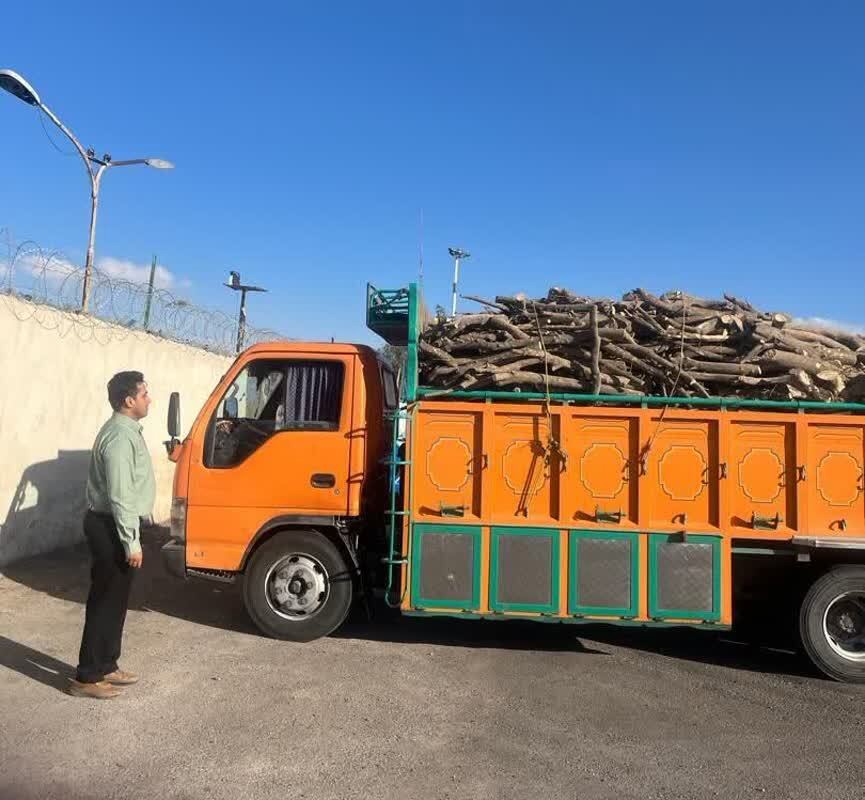 توقیف ۴ تن چوب فاقد مجوز در شهرستان بم