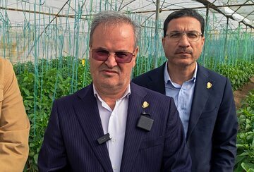 اولویت جنوب استان کرمان به‌دلیل نقش راهبردی در تامین امنیت غذایی کشور