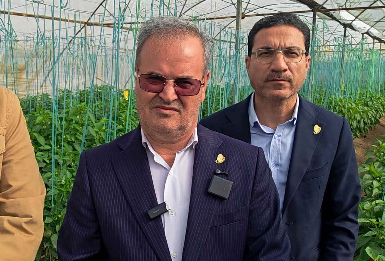 اجرای طرح کلان «حضور هیبرید» در حوزه بذر