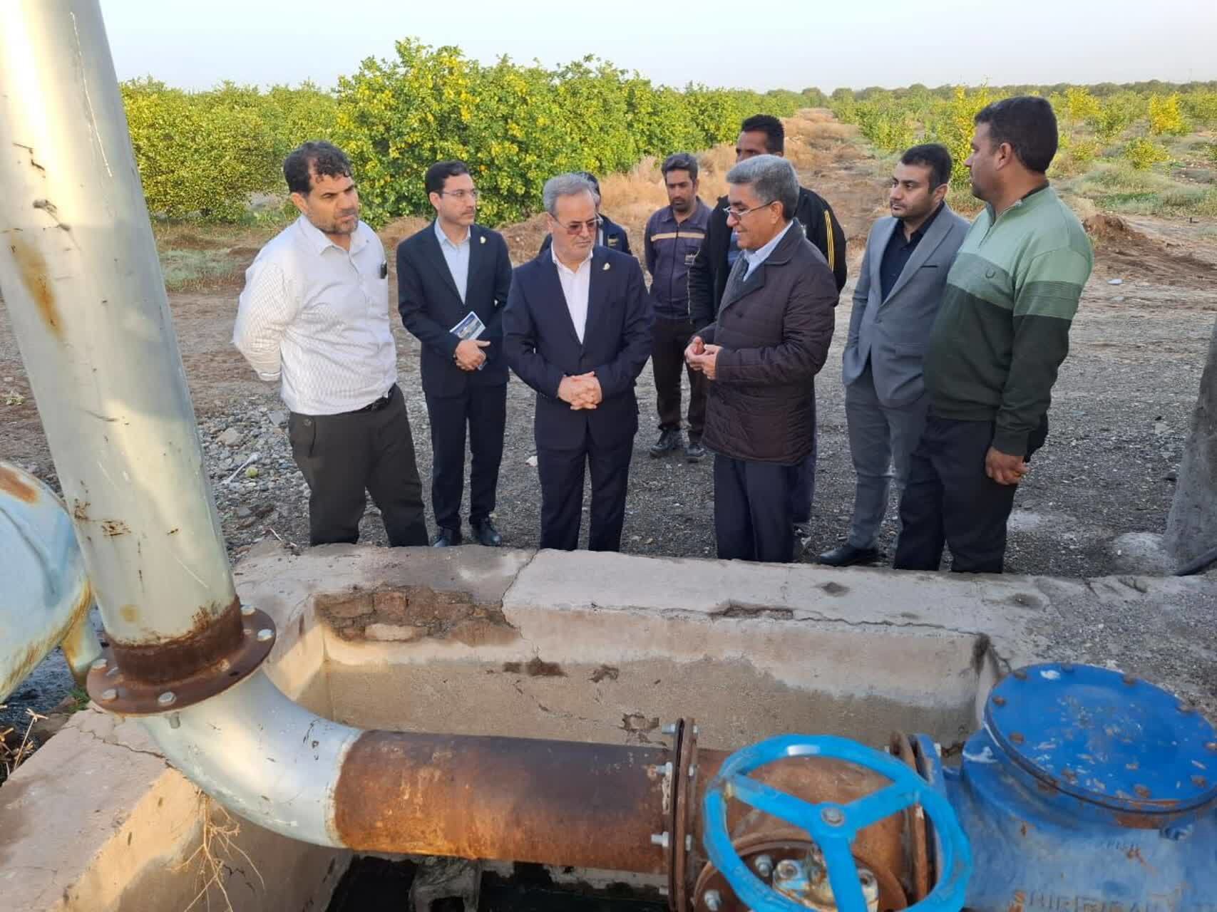 بازدید رئیس سازمان تات از باغات مرکبات و خرما