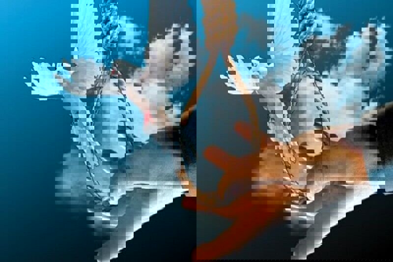 قاتل جوان با گذشت خانواده مقتول بخشیده شد