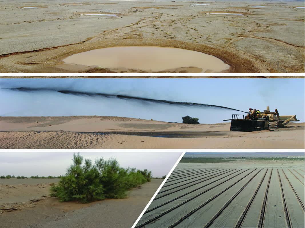 سرمایه‌گذاری برای تولید تنها محدود به بخش صنعت و کشاورزی نیست