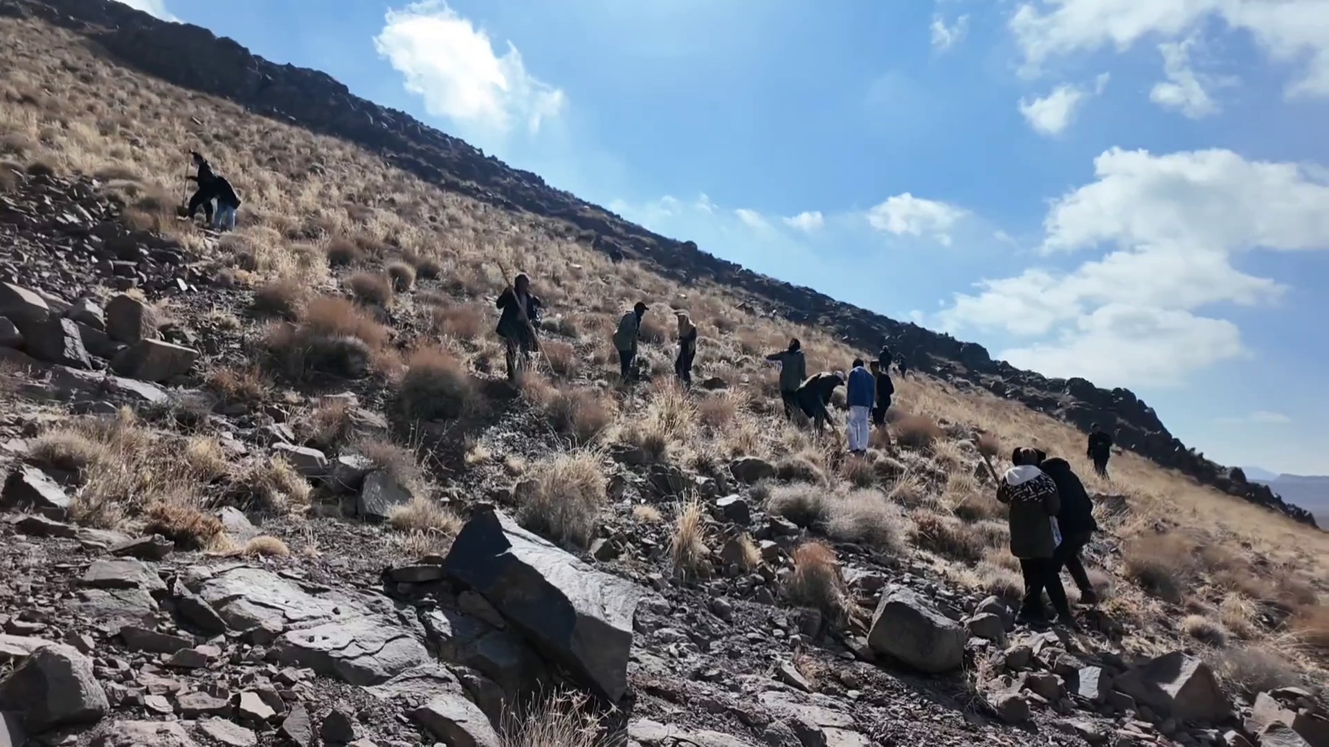 کاشت گونه‌های بومی جنگلی در روستای بهنوئیه شهربابک