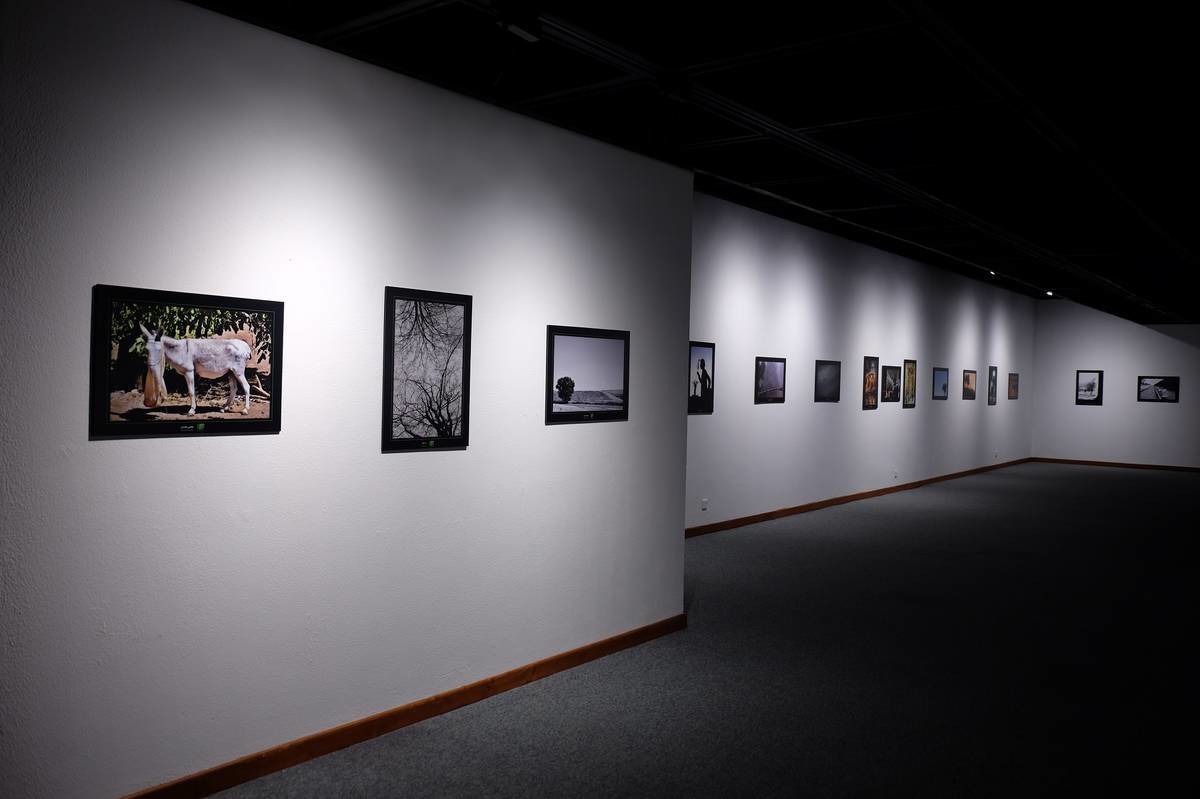 آغاز هفته فیلم و عکس در بم