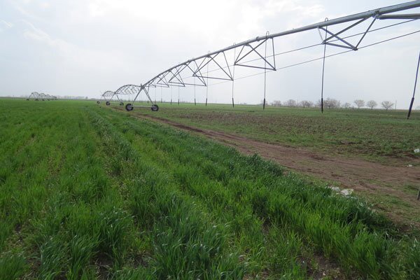 افتتاح پروژه آبیاری تحت فشار ۵۰ هکتاری در شهرستان قلعه‌گنج