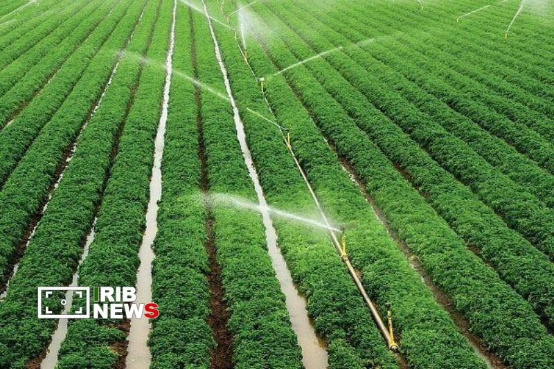 افتتاح طرح آبیاری کم‌فشار مزرعه رئیس‌آباد رفسنجان