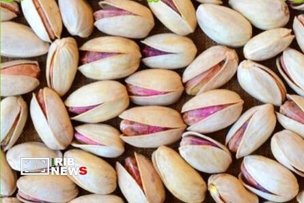 صادرات ۲۰ هزار تن پسته از رفسنجان