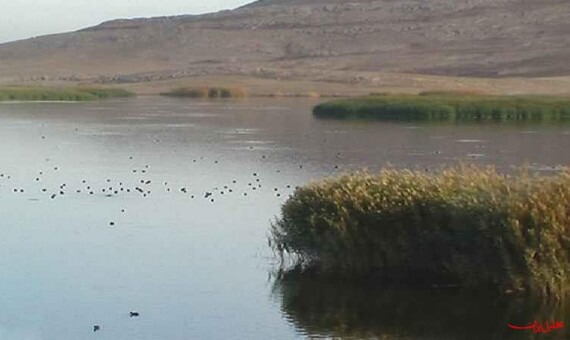 رصد و پایش تالاب جازموریان با حضور مسئولان استانی و ملی