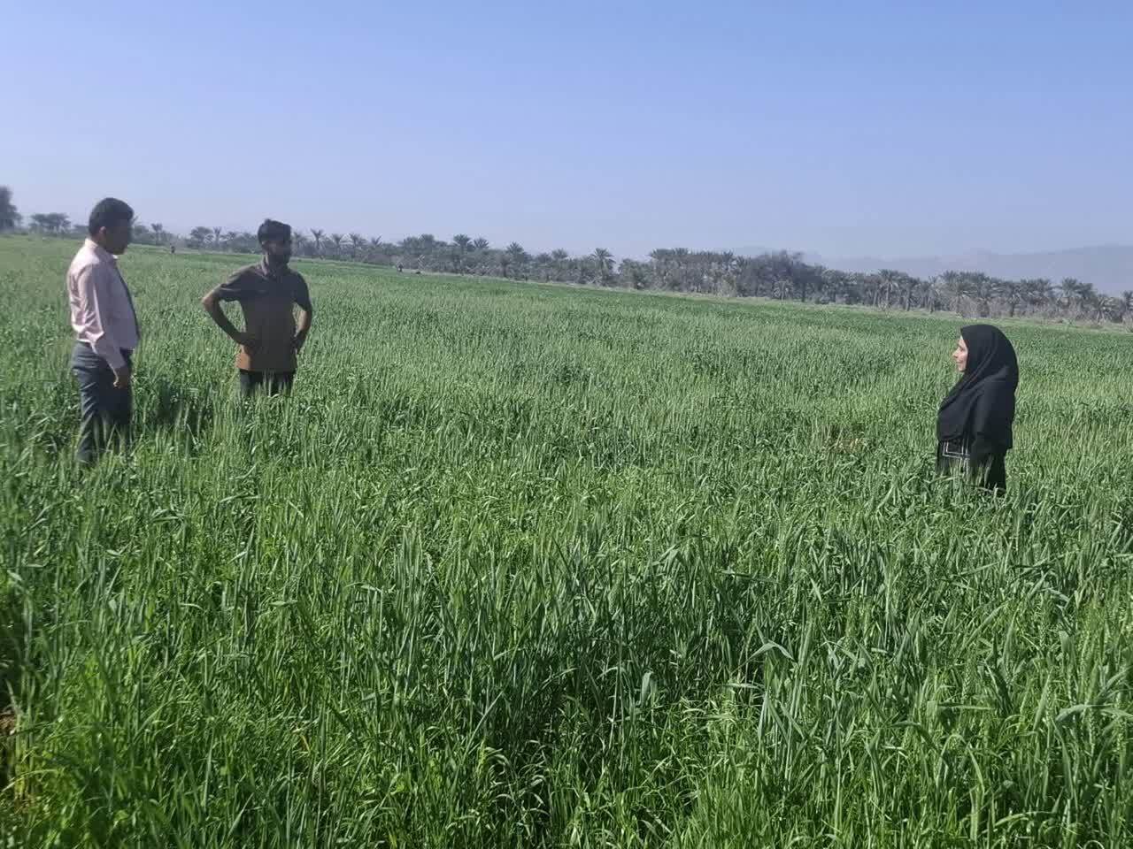 افتتاح زمین چمن مصنوعی دبستان دوره دوم امام حسن مجتبی علیه السلام