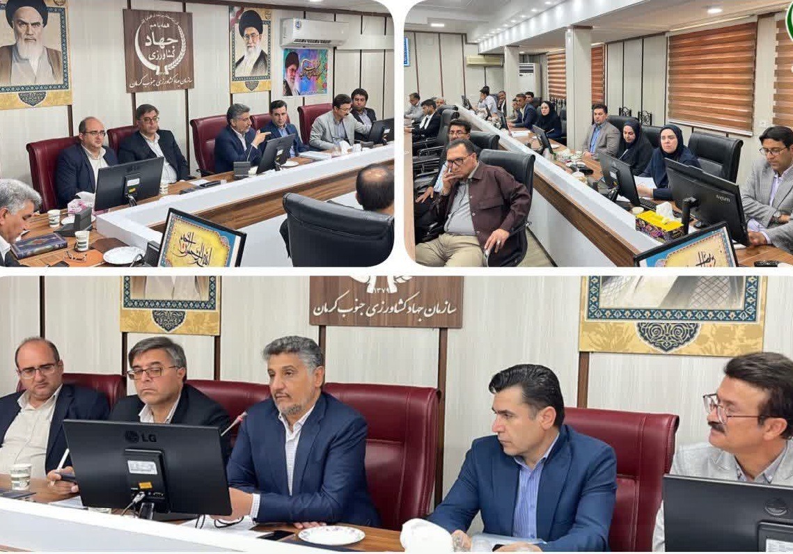 برگزاری چهارمین جلسه استانی کمیته اجرایی برنامه هفتم پیشرفت در جنوب کرمان