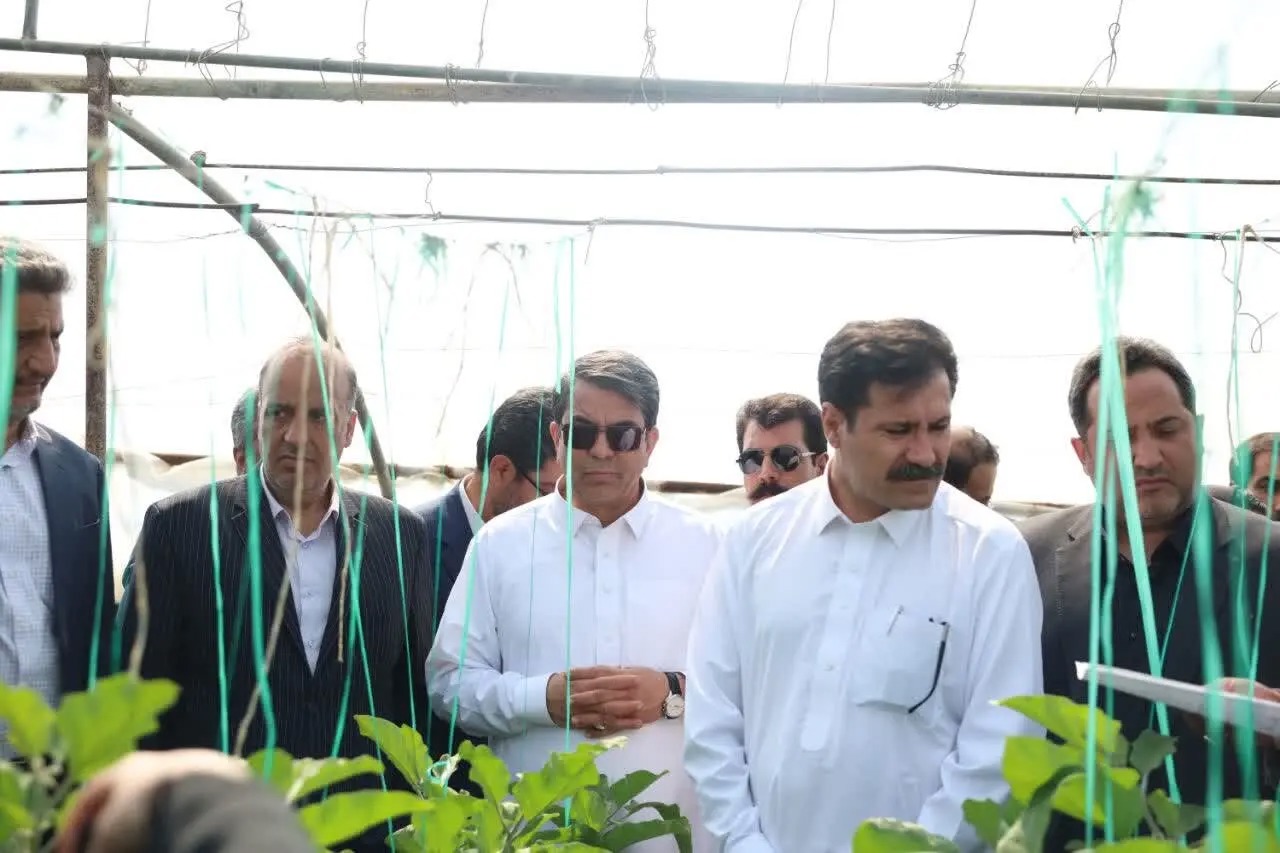 بازدید معاون رئیس‌جمهور از گلخانه‌های کهنوج