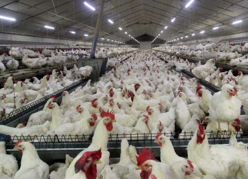 بهره برداری از دو طرح روستایی در سیرجان