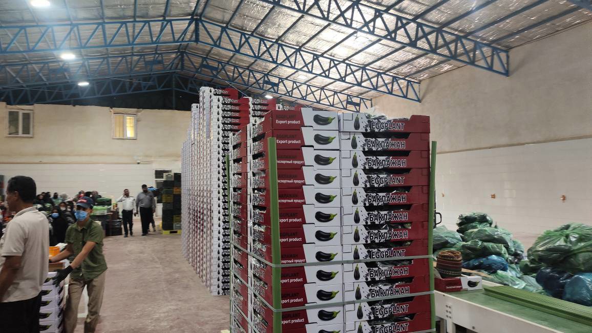 قول حمایت حداکثری برای رفع موانع تولید و صادرات در جنوب کرمان