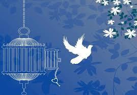 آزادی ۱۲۰ مددجو با صلح در زرند