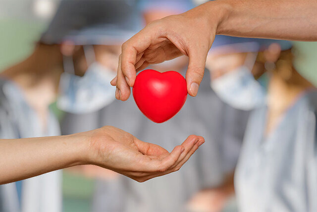 مادر فداکار رفسنجانی ناجی ۳ بیمار نیازمند اهدای عضو شد