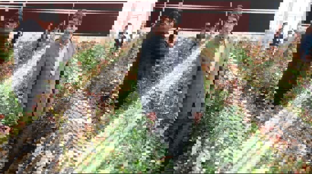 بهره‌برداری از گلخانه مکانیزه هیدروپونیک شهرستان زرند