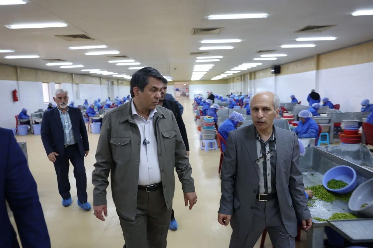 🎬 بازدید استاندار از شرکت گسترش بازرگانی کرمان از واحدهای نمونه کشوری پسته