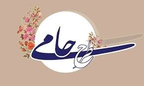 اجرای طرح حامی در مدارس کرمان