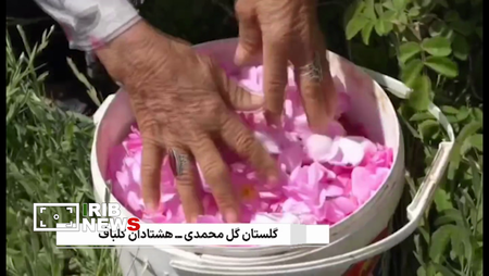 کرمان رصد