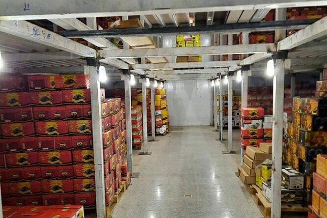 خرما در سردخانه های بم دپو شده است؛ نخل‌ داران در انتظار تدبیر