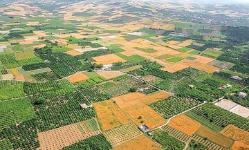 اجرای قانون جدید حدنگاری اراضی مسکونی و کشاورزی چگونه موجب جلوگیری از زمین خواری می شود؟