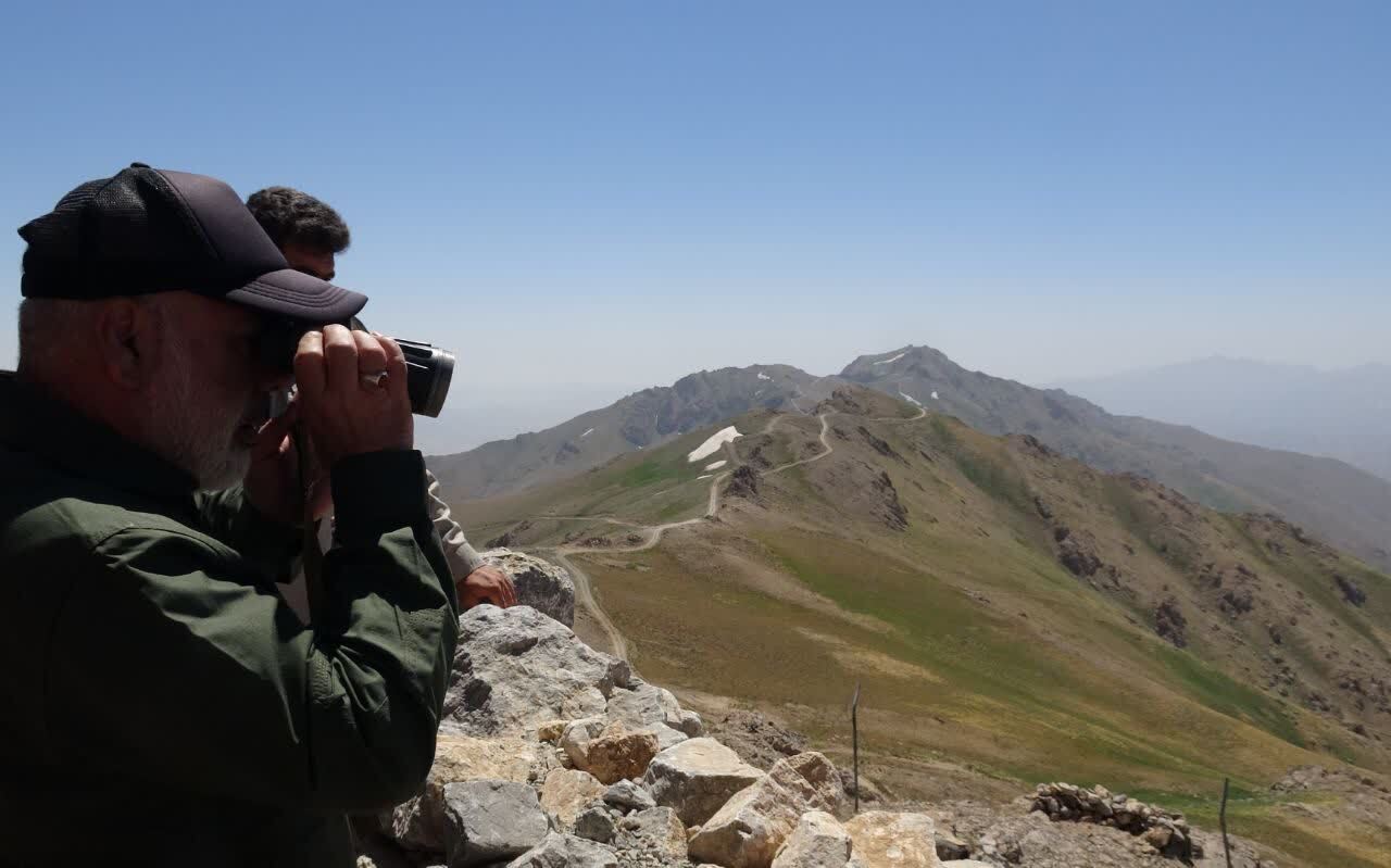 کرمان رصد