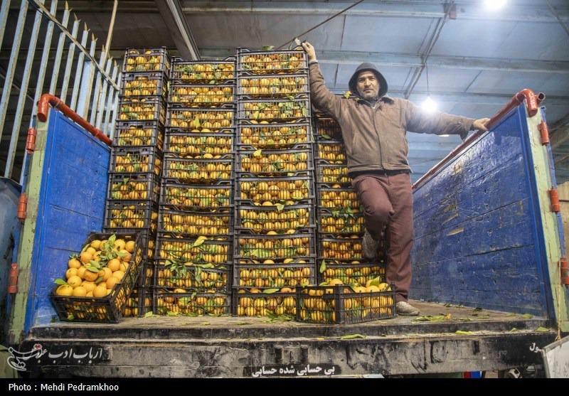 راه‌اندازی نخستین بازارچه «خودروشهر میوه» در کرمان