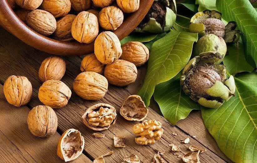ممنوعیت خرید و فروش گردو تا ۱۵ شهریور در بافت