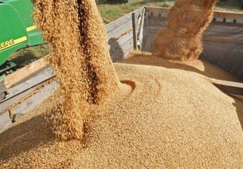 کاهش ۴۰ درصدی واردات جو