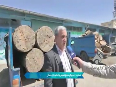 کشف و توقیف محموله چوب قاچاق در اردبیل