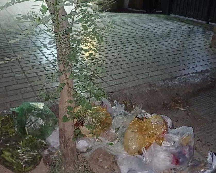 بی‌توجهی شهرداری کرمان به زباله‌‌های خیابان‌ها