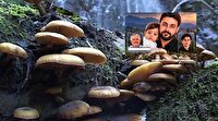 ۴ تن از اعضای یک خانواده بر اثر مسمومیت با مصرف قارچ جنگلی جان باختند